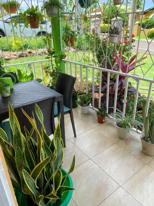 Cozy Villa Mammee Bay المظهر الخارجي الصورة